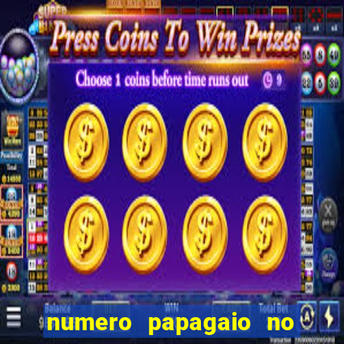 numero papagaio no jogo do bicho