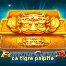 ca tigre palpite