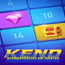 acompanhantes em tubarao