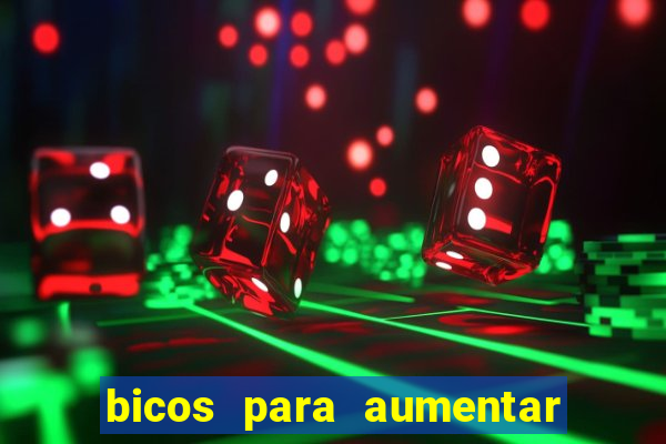 bicos para aumentar a renda