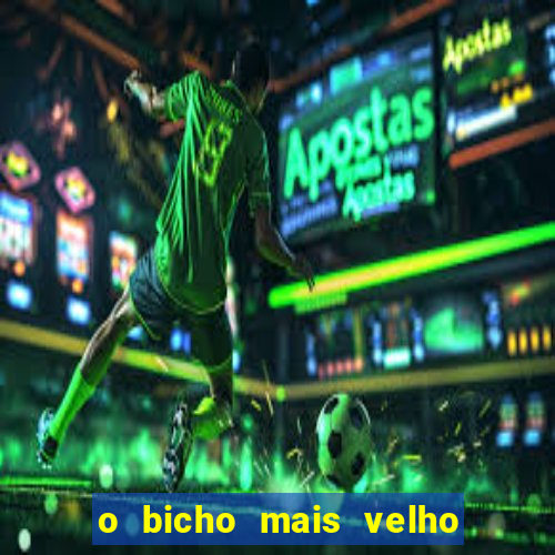 o bicho mais velho da loteria dos sonhos