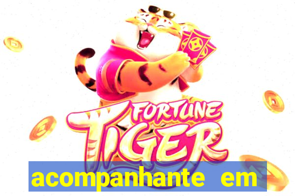 acompanhante em porto velho
