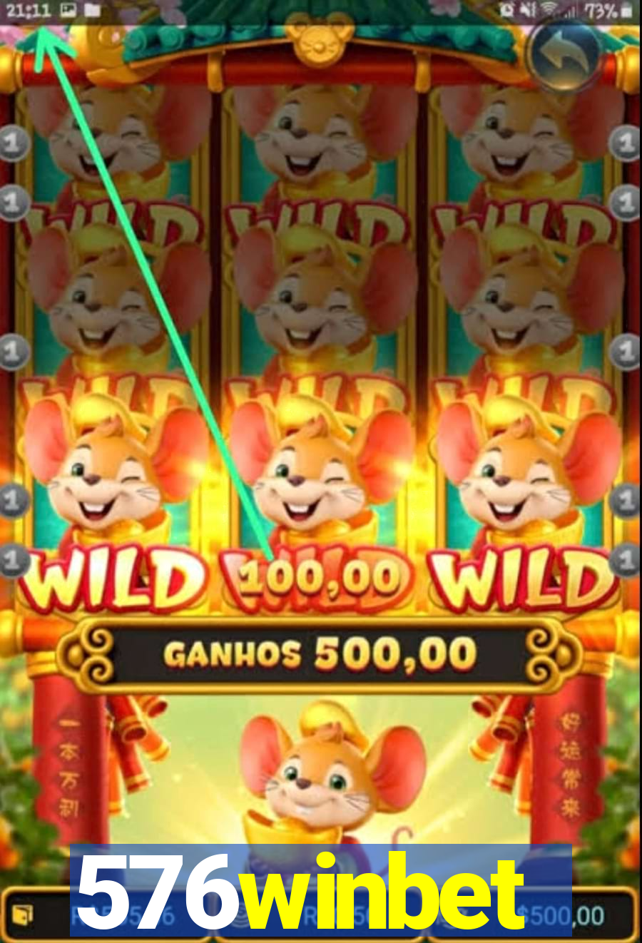 576winbet