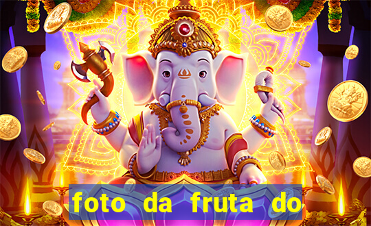 foto da fruta do blox fruits