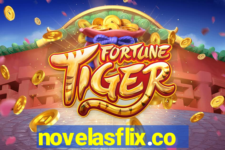 novelasflix.co