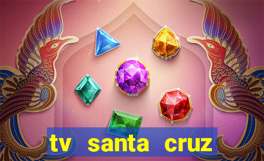 tv santa cruz bahia meio dia ao vivo