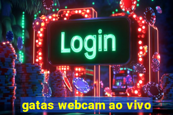 gatas webcam ao vivo