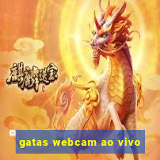 gatas webcam ao vivo