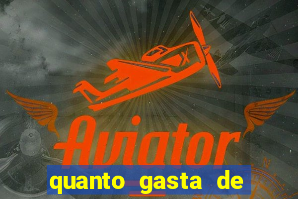 quanto gasta de gasolina de bh a porto seguro