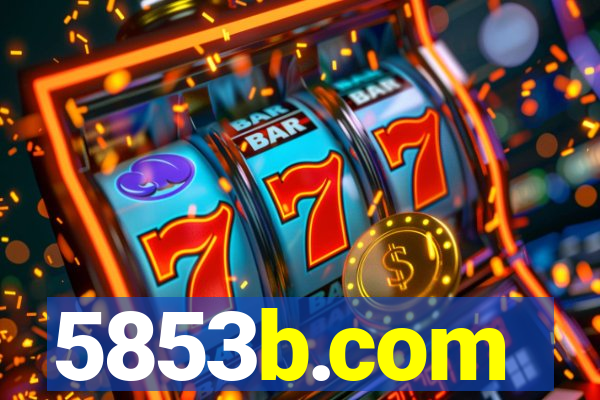 5853b.com