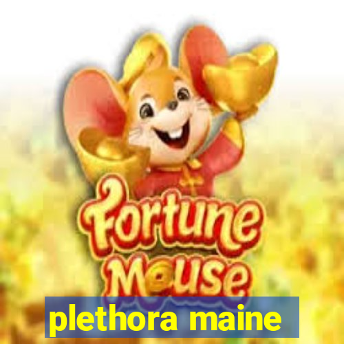 plethora maine