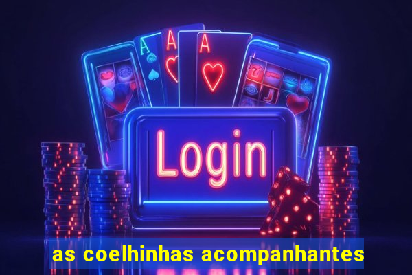 as coelhinhas acompanhantes