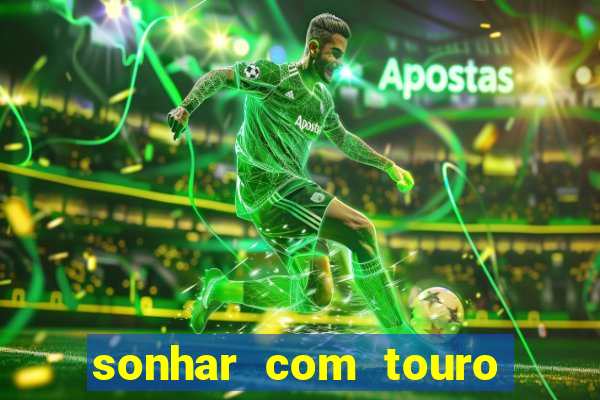 sonhar com touro bravo no mundo espiritual
