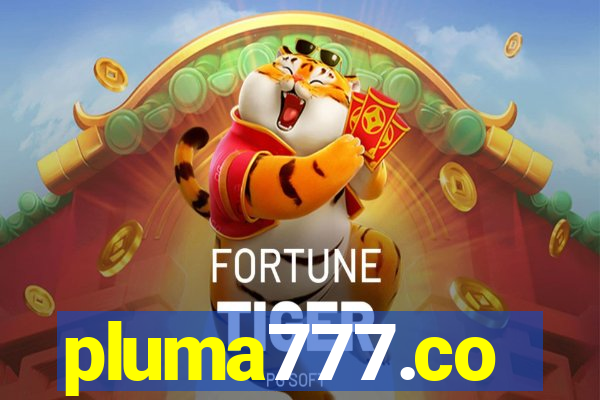 pluma777.co