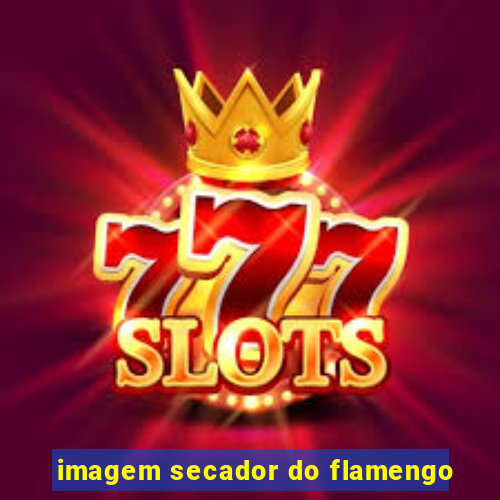 imagem secador do flamengo