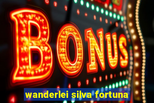 wanderlei silva fortuna