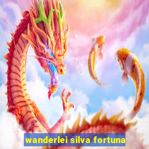 wanderlei silva fortuna