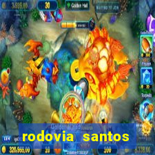 rodovia santos dumont br-116