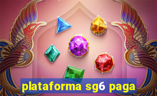 plataforma sg6 paga