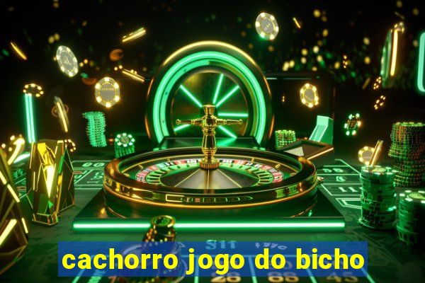 cachorro jogo do bicho
