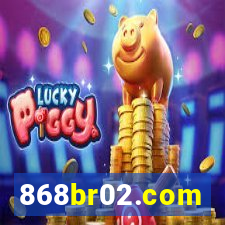 868br02.com