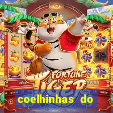 coelhinhas do brasil site