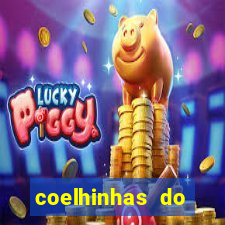 coelhinhas do brasil site