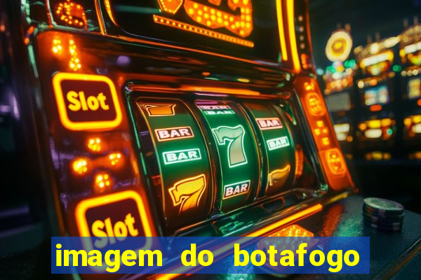 imagem do botafogo zuando o palmeiras