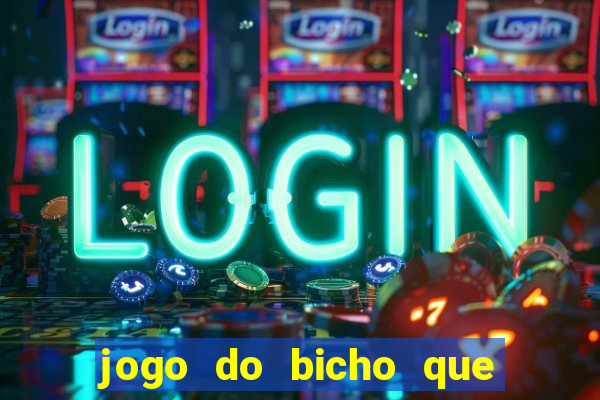 jogo do bicho que paga no pix