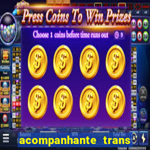 acompanhante trans baixada fluminense