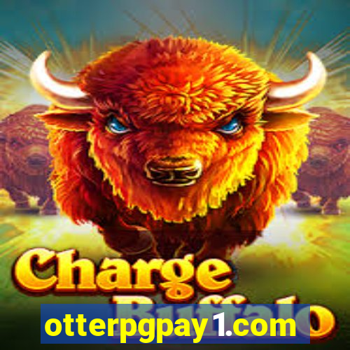 otterpgpay1.com
