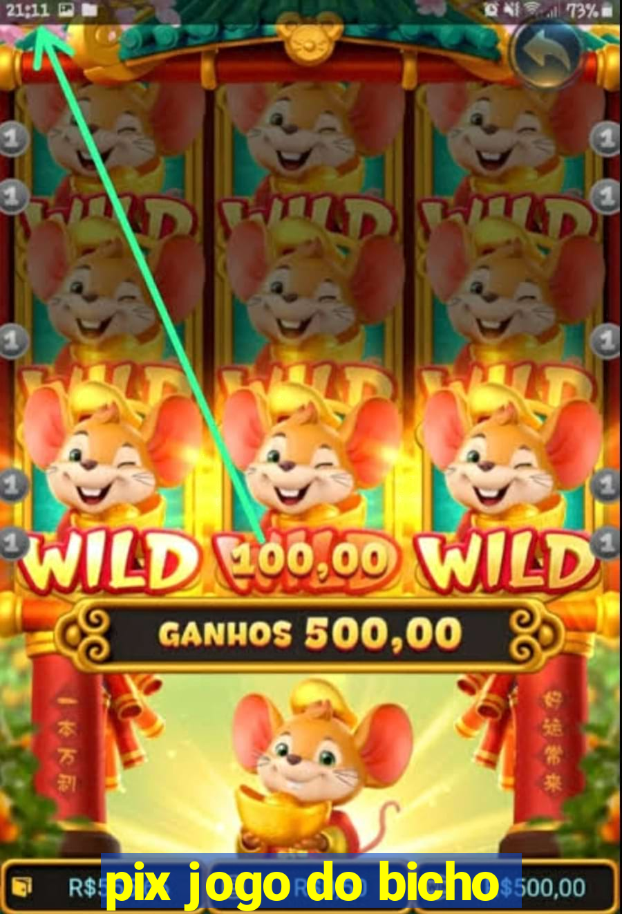 pix jogo do bicho