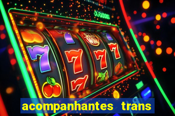 acompanhantes trans porto seguro