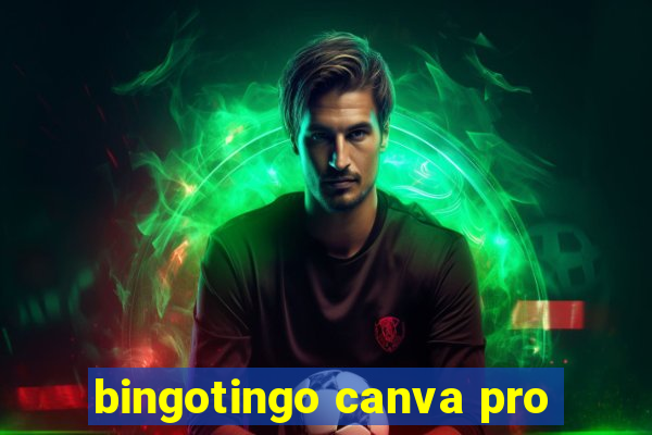 bingotingo canva pro