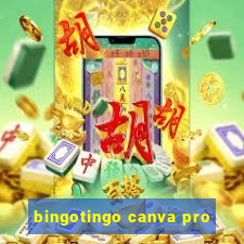 bingotingo canva pro