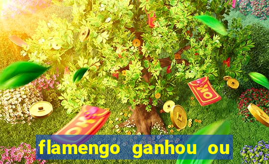 flamengo ganhou ou perdeu hoje