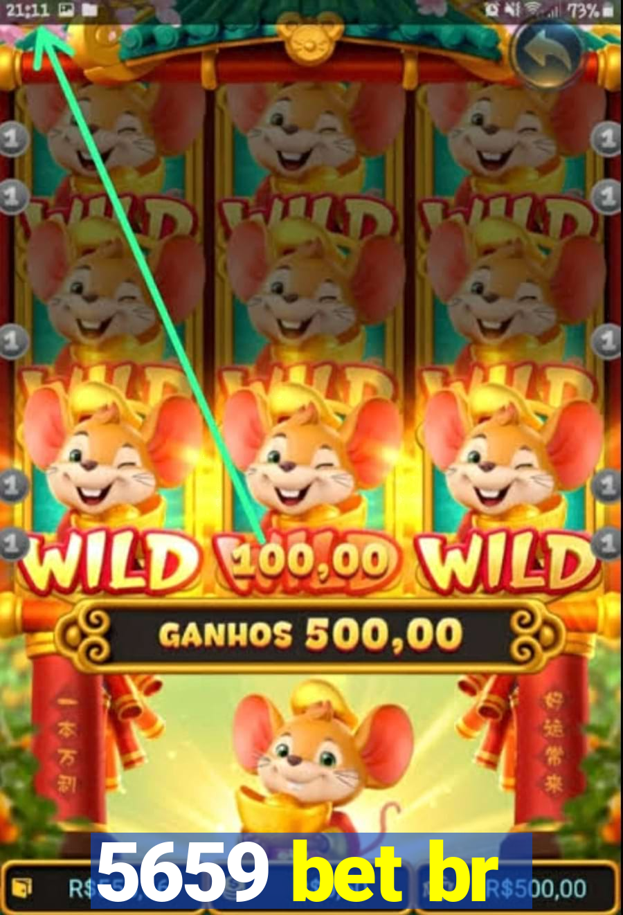 5659 bet br