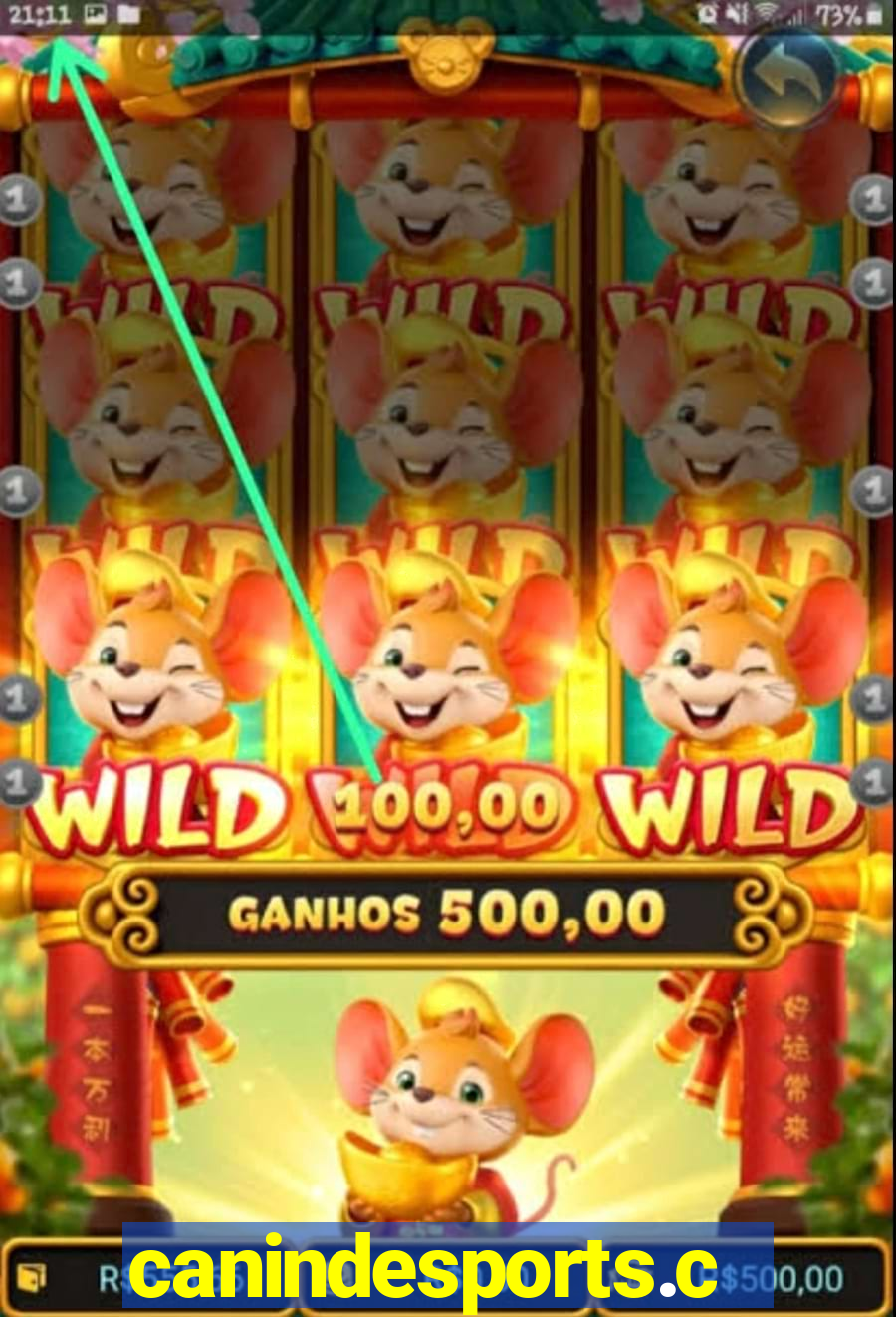 canindesports.com