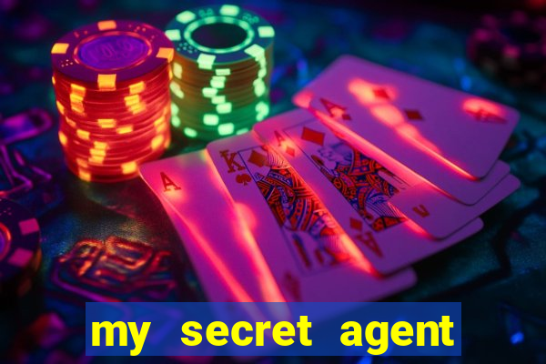 my secret agent husband legendado