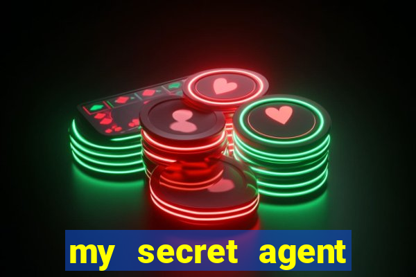 my secret agent husband legendado