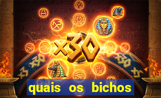 quais os bichos que mais saem na federal