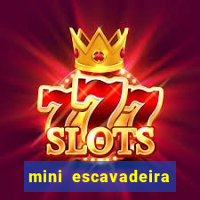 mini escavadeira aluguel rj