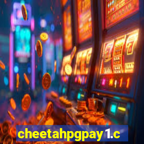 cheetahpgpay1.com