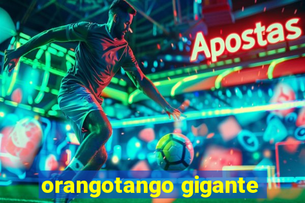 orangotango gigante