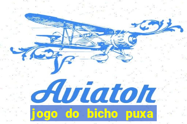 jogo do bicho puxa de dona maria