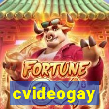 cvideogay