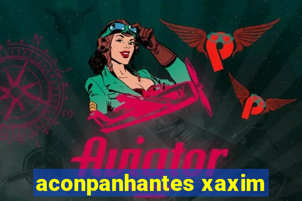 aconpanhantes xaxim