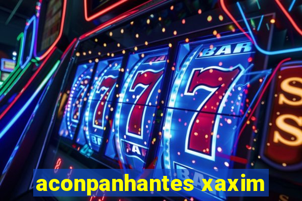 aconpanhantes xaxim