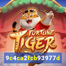 gorilabet.com