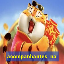 acompanhantes na vila nova cachoeirinha sp